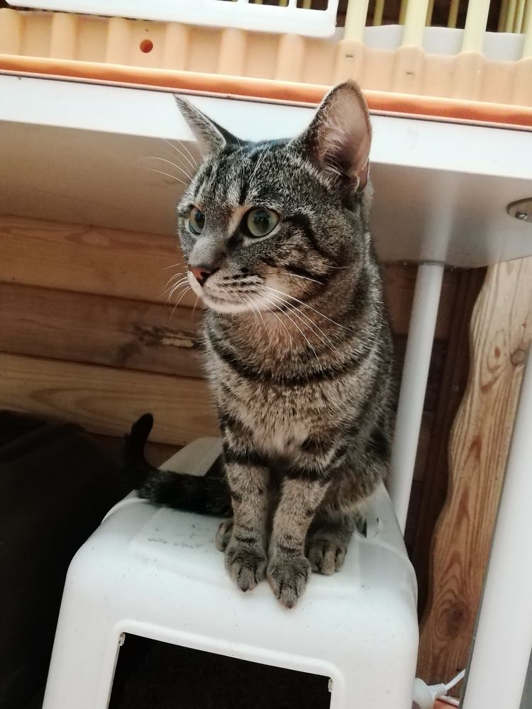 HUBERT 240 92400 Courbevoie