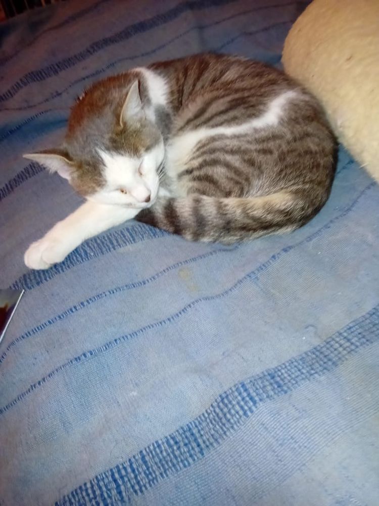 ZORRO est r&eacute;serv&eacute; 240 92400 Courbevoie