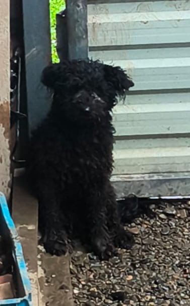 THELMA 0 75018 Paris