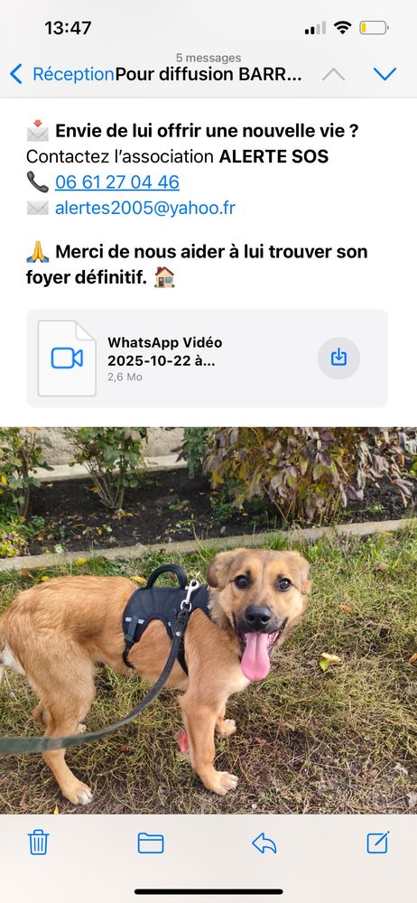 BARRIE 0 75018 Paris