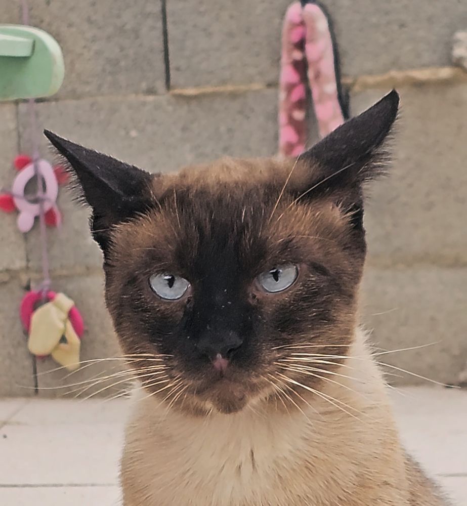 HERMES 230 27620 Gasny