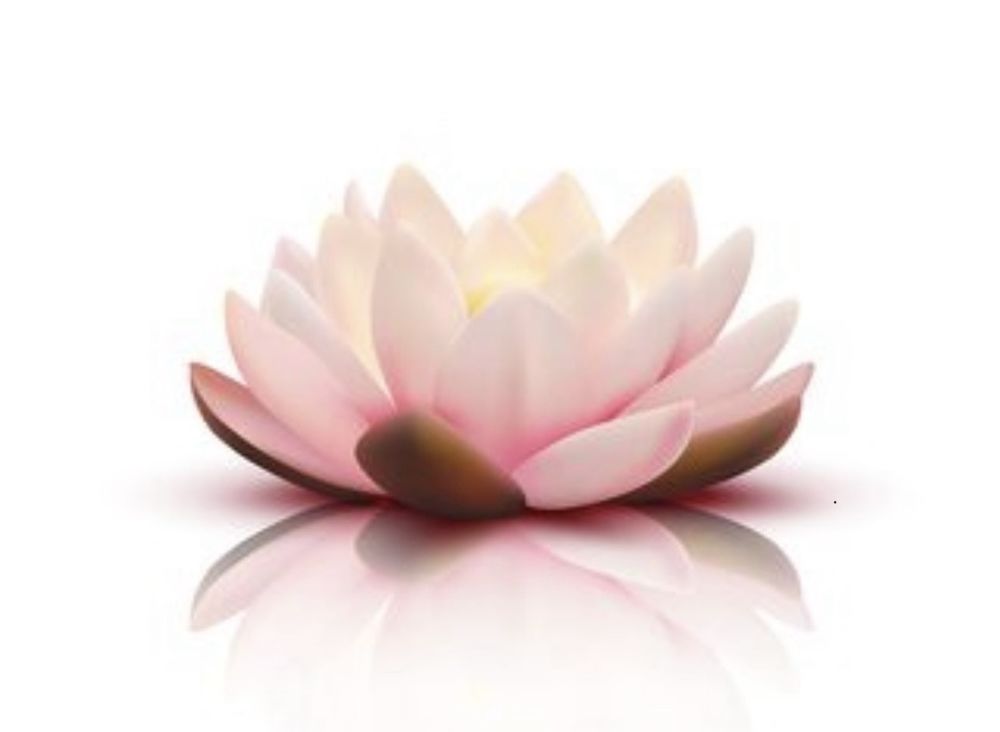 Massage et &eacute;pilation 100 84000 Avignon