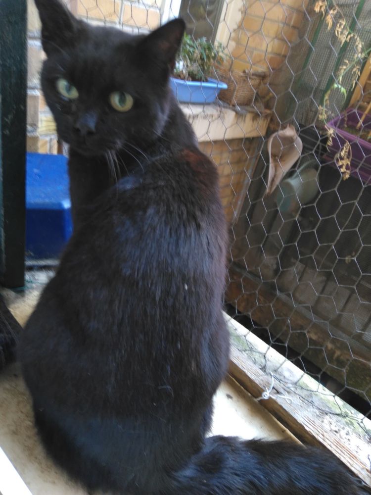 MIGNONETTE 240 92400 Courbevoie