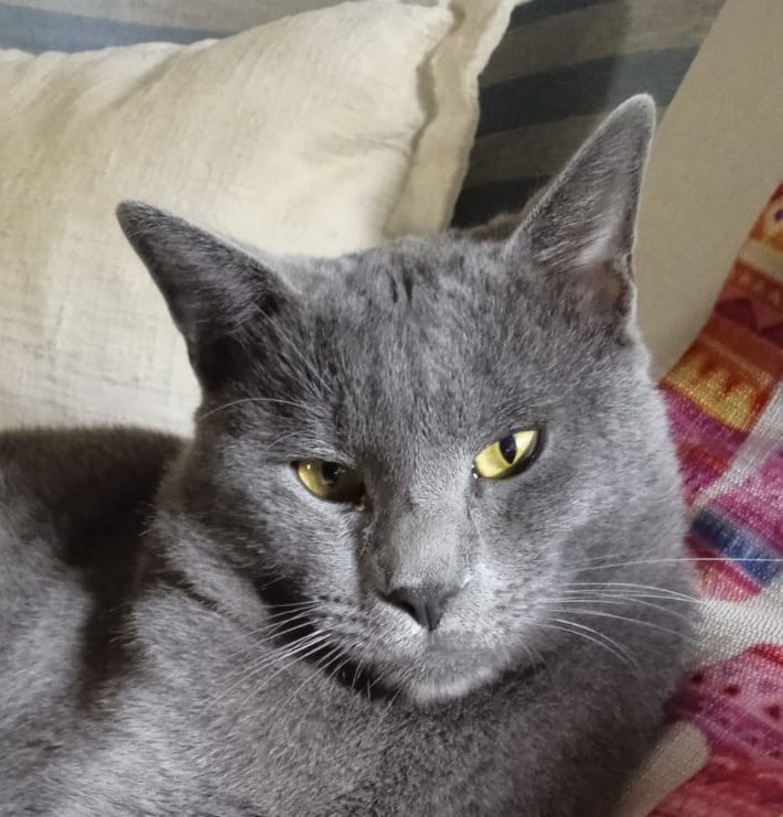 OTTO 230 27620 Gasny