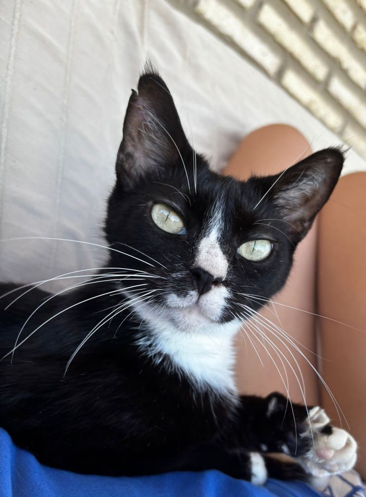 ENMA 230 27620 Gasny