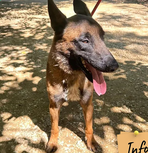 Timo 230 26700 Pierrelatte