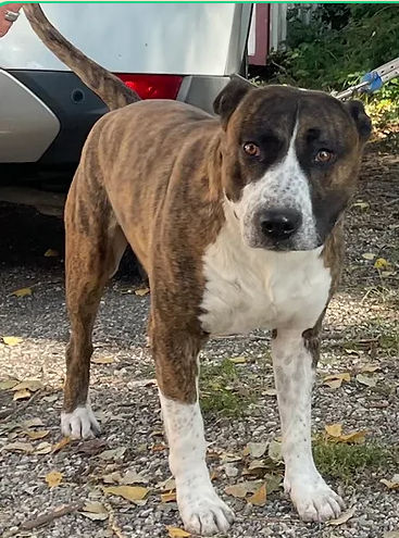 Feneck 130 26700 Pierrelatte