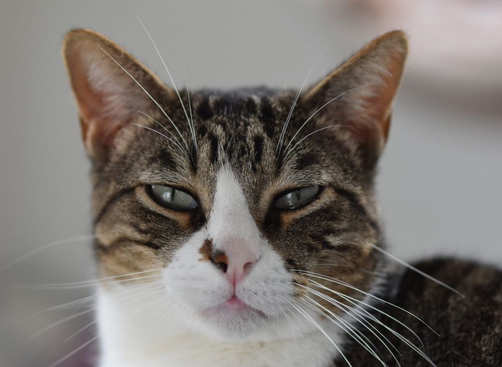 CUARZO 230 27620 Gasny