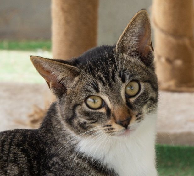 YUMI 230 27620 Gasny