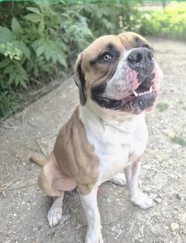 Sultan 230 26700 Pierrelatte