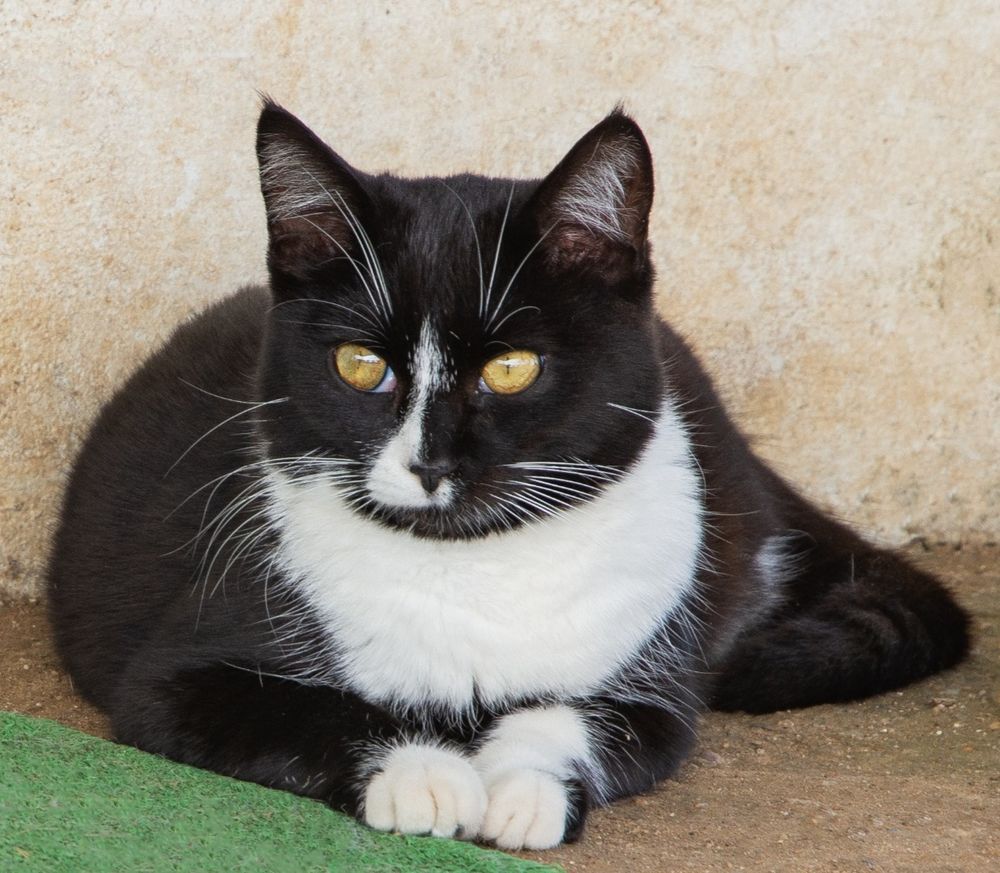 BONNIE 230 27620 Gasny