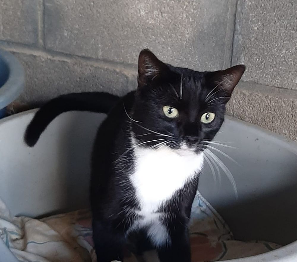 KEIRA 230 27620 Gasny