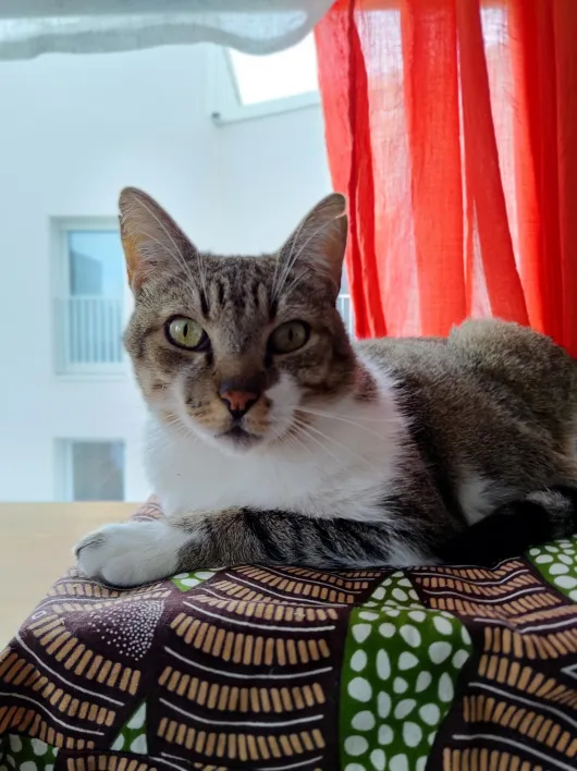 Oph&eacute;lio 170 44000 Nantes