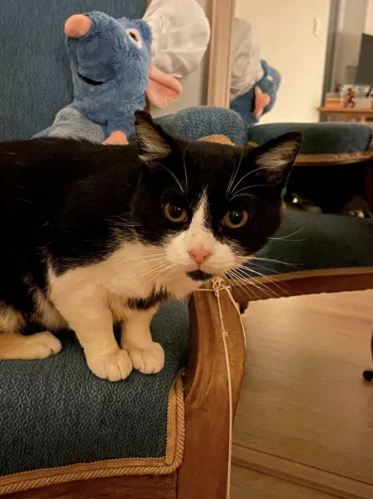 Paddington 170 44000 Nantes