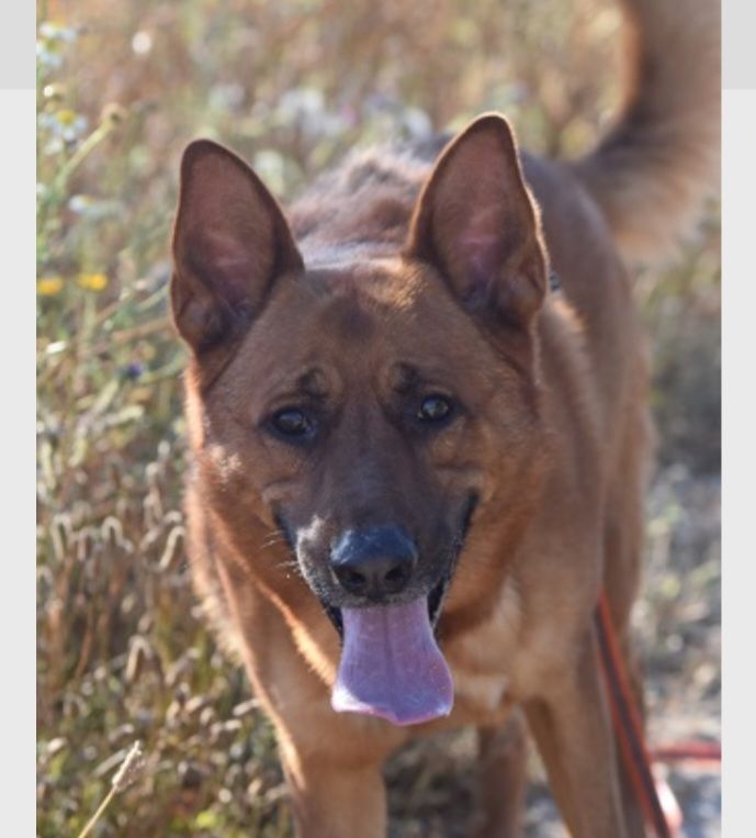 SKOL 320 27620 Gasny