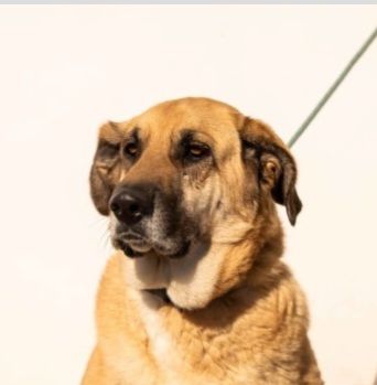 LILA 320 27620 Gasny