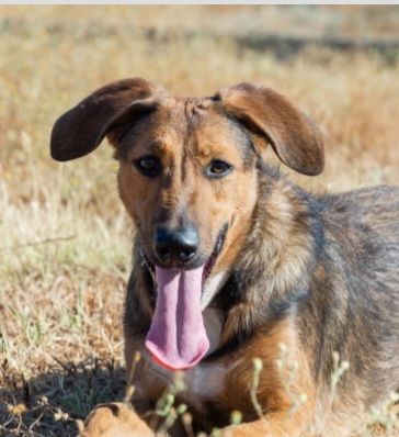 YUMA 320 27620 Gasny