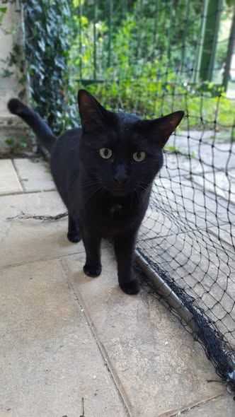 ALDO 75 95420 Arthies