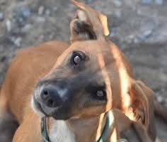 RAGNA 320 27620 Gasny