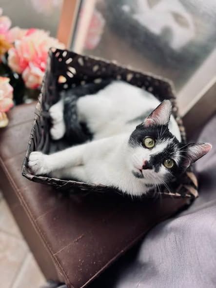 BUZ ET HARIBO 90 13140 Miramas