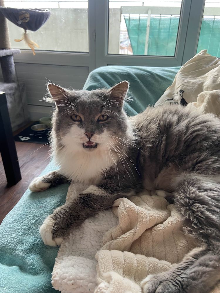 Tahor 80 44000 Nantes