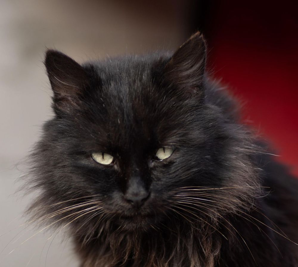 OREO 230 27620 Gasny