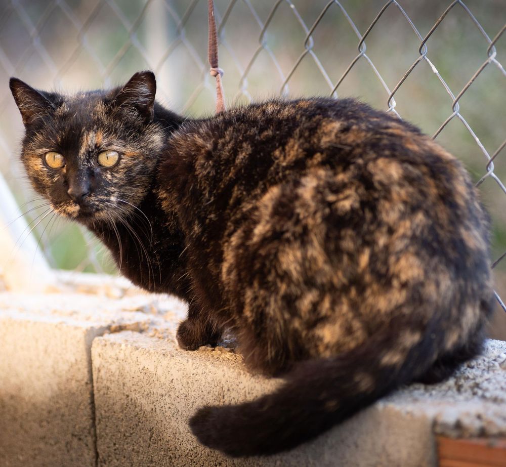 SUNI 230 27620 Gasny