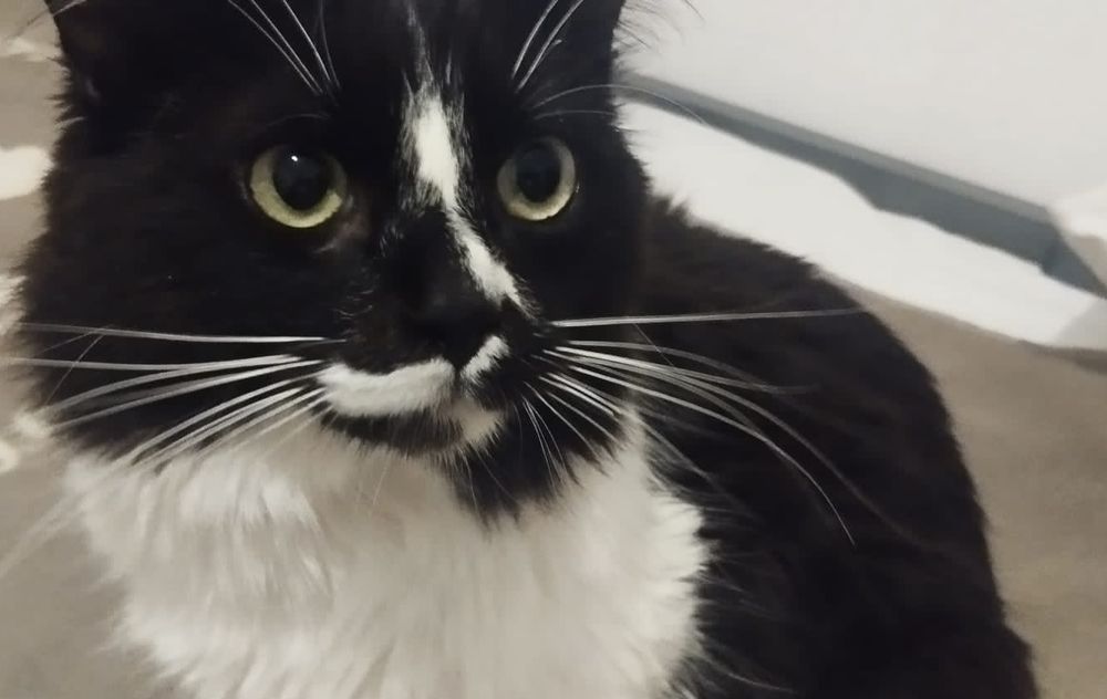 EROS 230 27620 Gasny