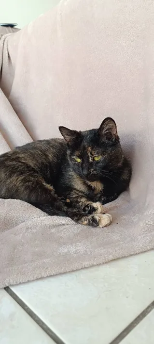 Sv&eacute;a 200 44000 Nantes