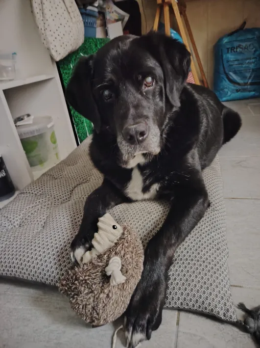 Marlay 280 44000 Nantes