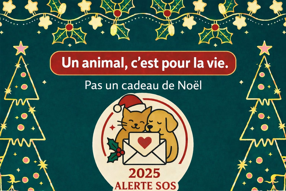 DIFFUSIONS 0 75018 Paris