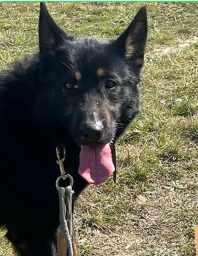 Billy boy 230 26700 Pierrelatte