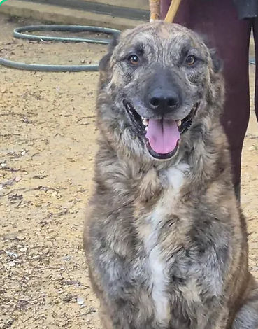 Charly 230 26700 Pierrelatte