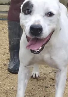 Loopy 230 26700 Pierrelatte