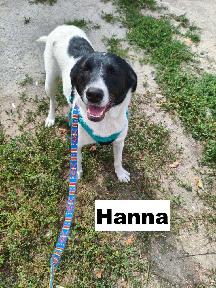 HANNA SE TROUVE EN FAMILLE D'ACCUEIL PARIS 18 0 75018 Paris