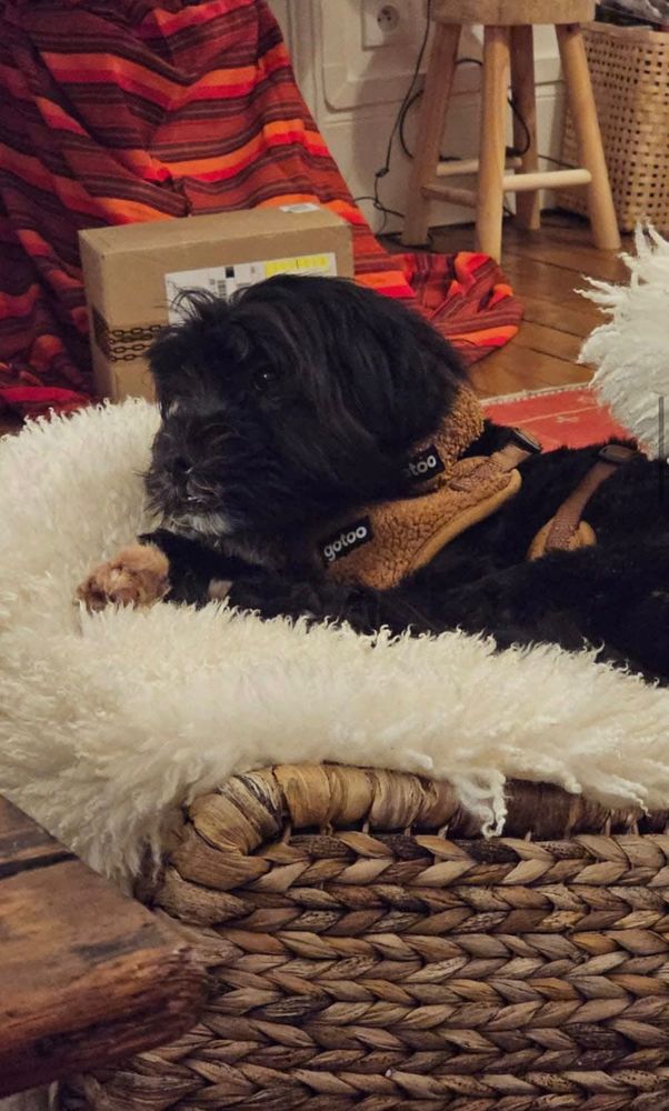 BLACkIE 0 75018 Paris