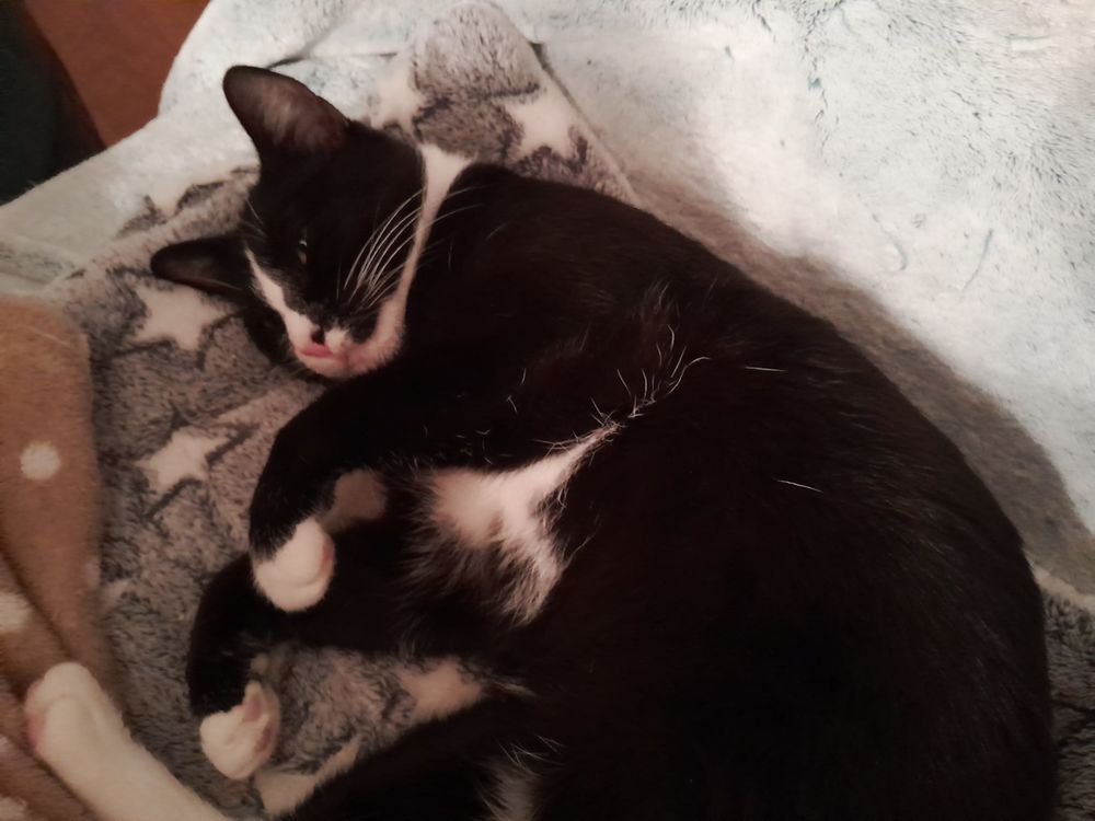 VEGA 240 92400 Courbevoie