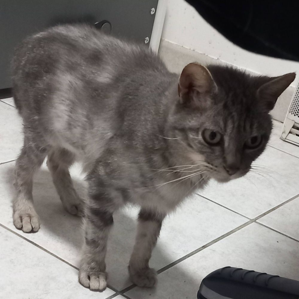 XENA 180 26760 Beaumont-l�s-valence