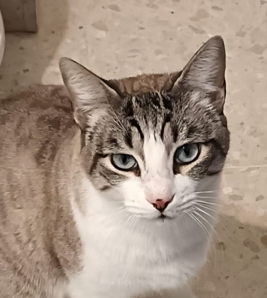 HORUS 230 27620 Gasny