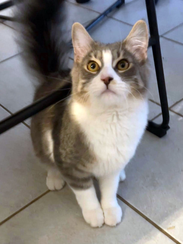 MARLO 1 26290 Donz�re