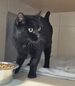 Alyndra 200 26700 Pierrelatte