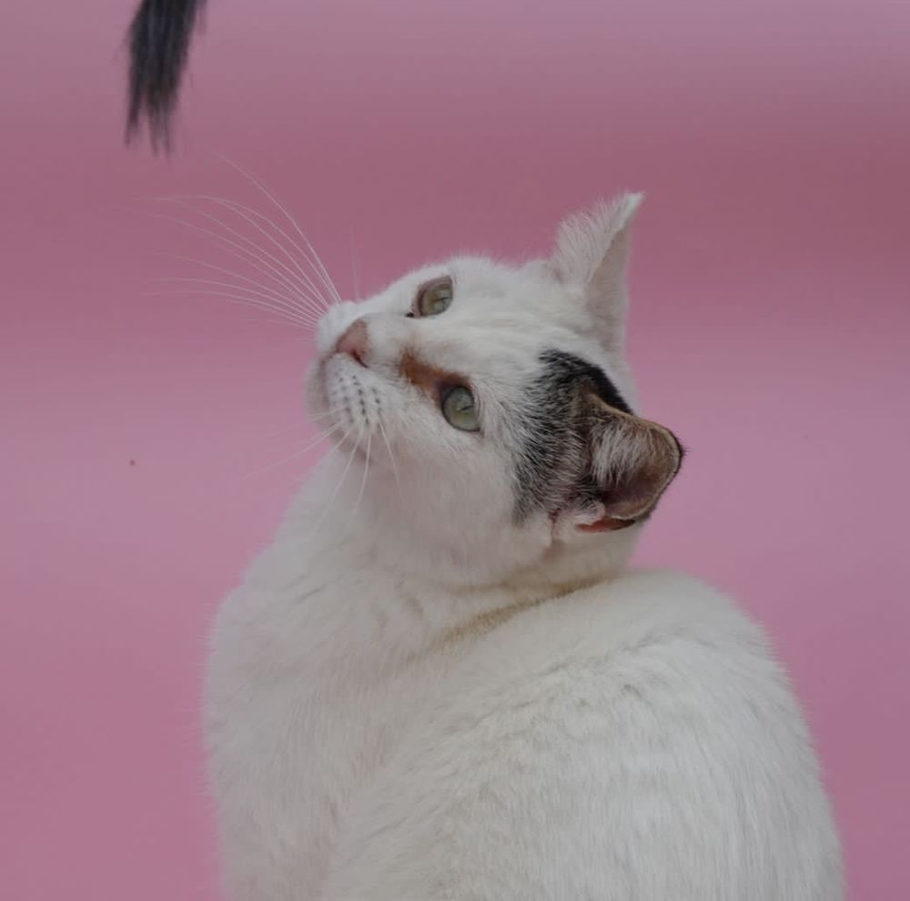 AFRICA 230 27620 Gasny