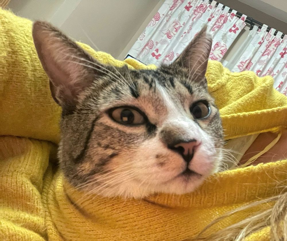 FITO 230 27620 Gasny