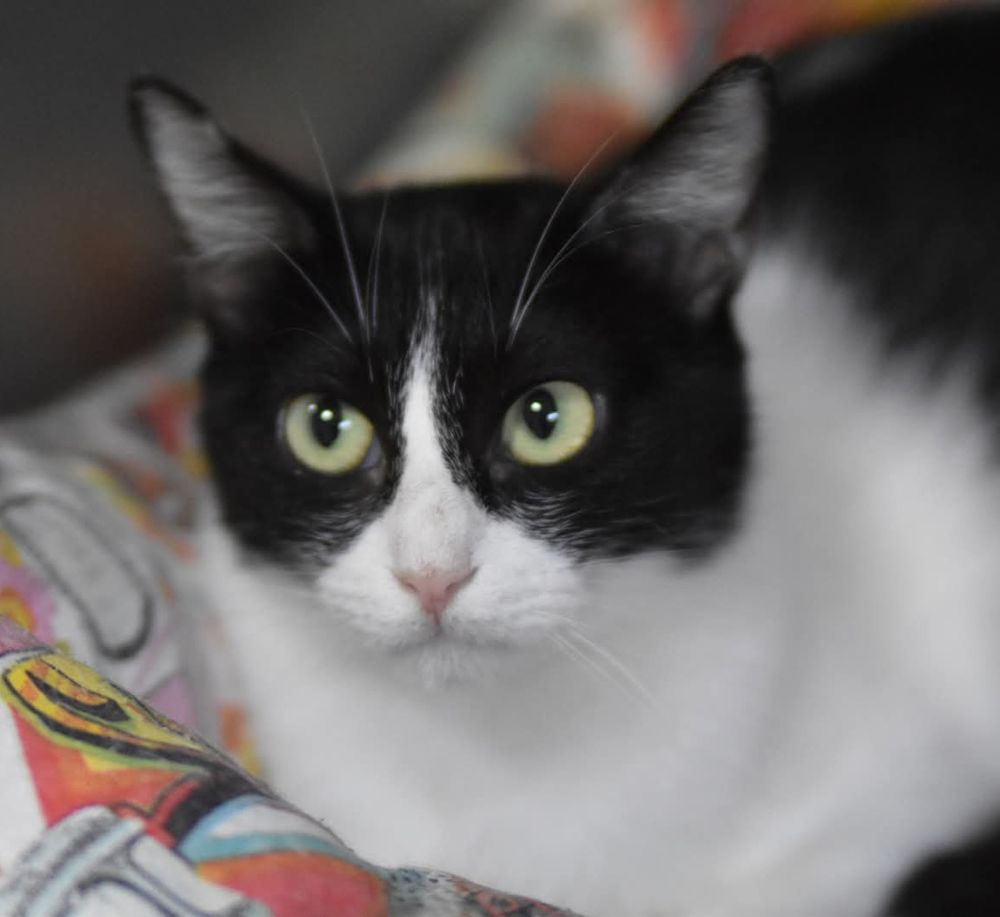 FABI 230 27620 Gasny