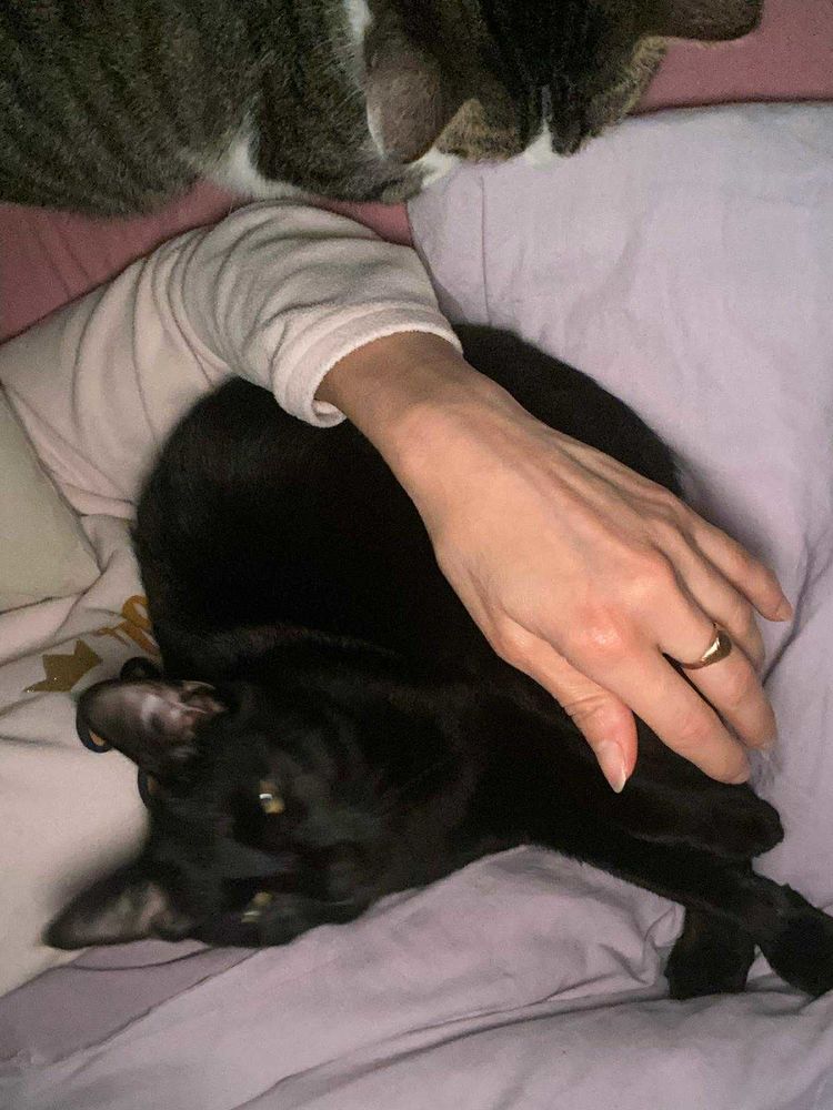 Tom &agrave; l'adoption avec son copain Fripouille 180 92000 Nanterre