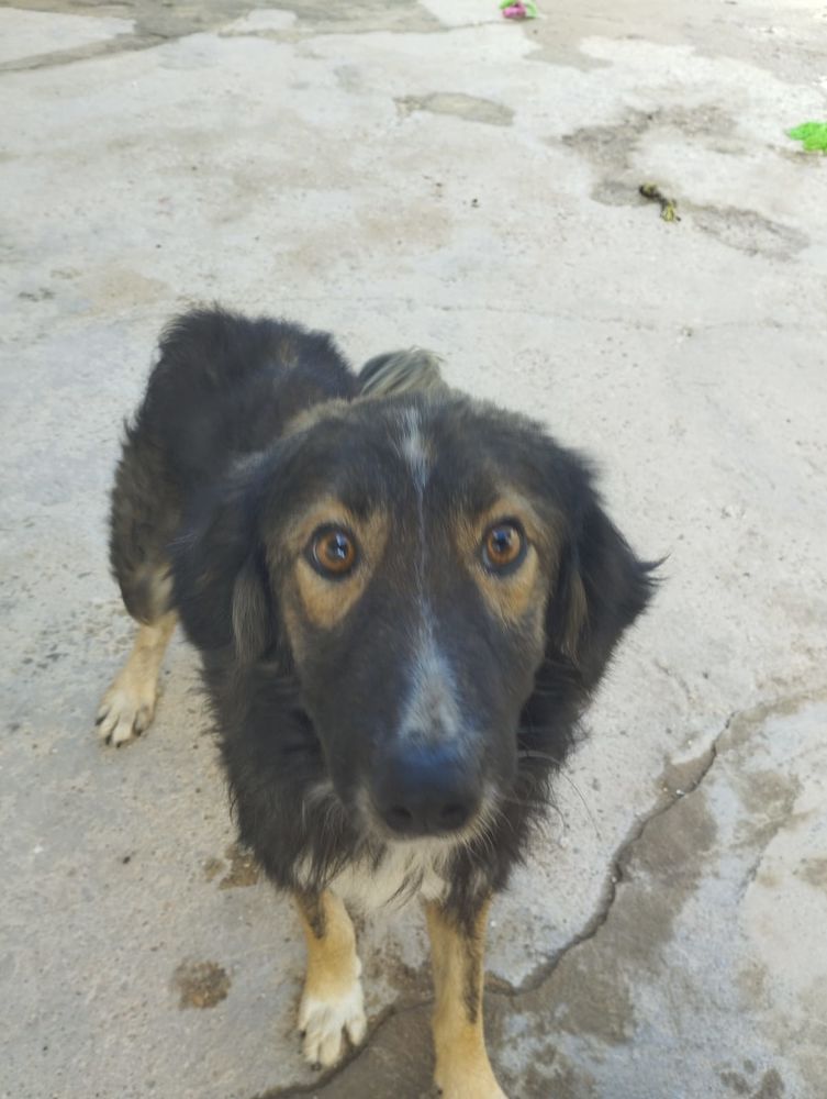 ILDE🩵   le prochain camion doit &ecirc;tre le sien ,  ne le laissez pas rester sur le quai du bonheur. 315 24140 Douville