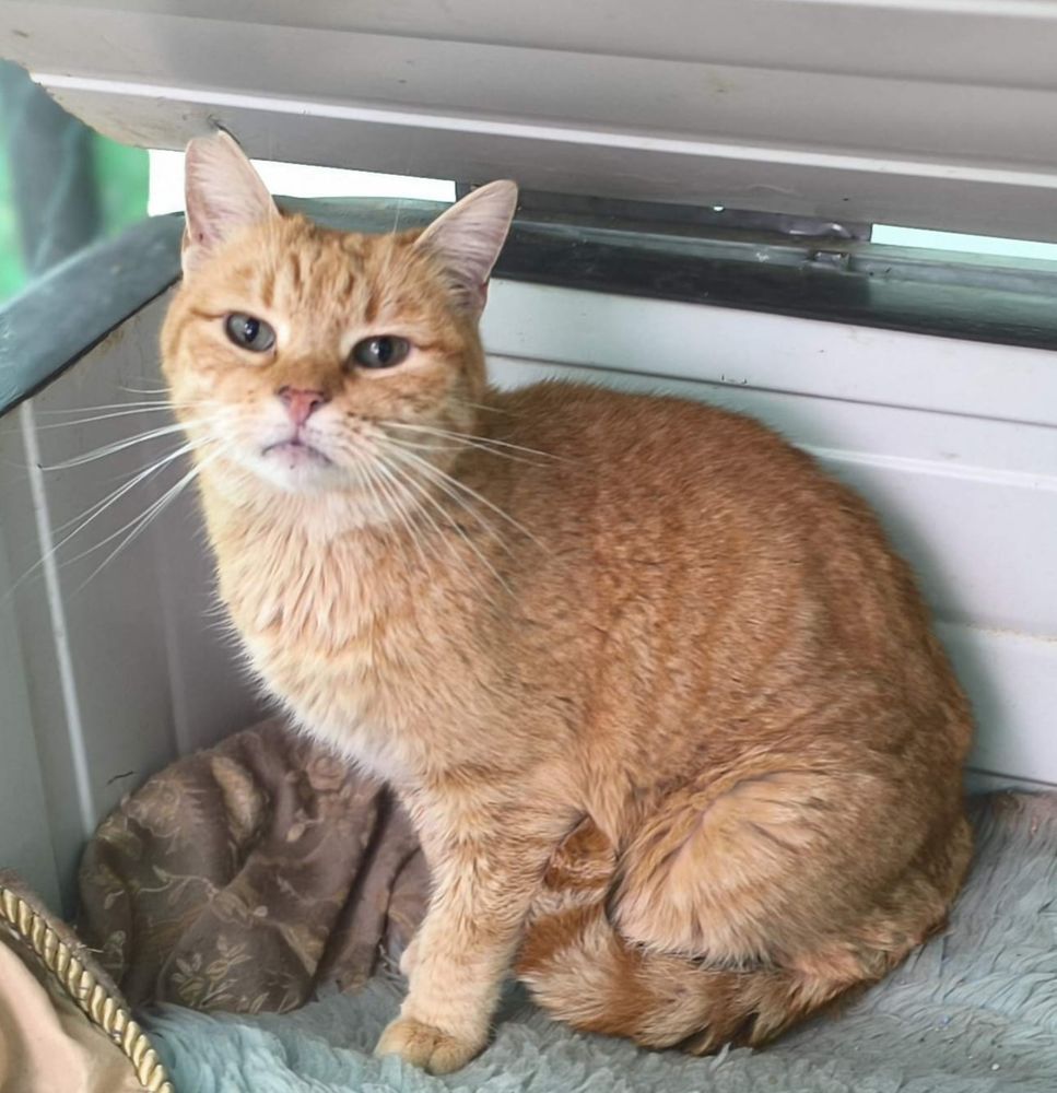 RUBIA 230 27620 Gasny