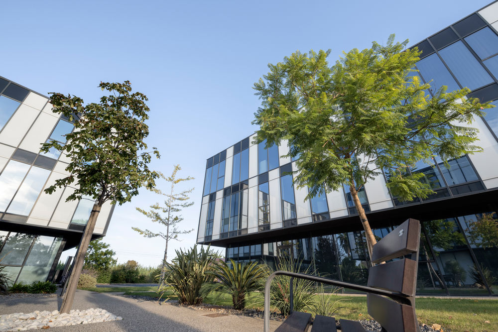 LOCAL DISPONIBLE PERPIGNAN TECNOSUD 932 66100 Perpignan