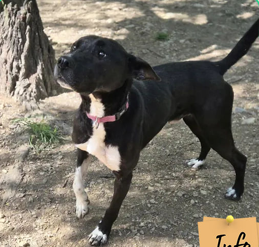 Osko 130 26700 Pierrelatte