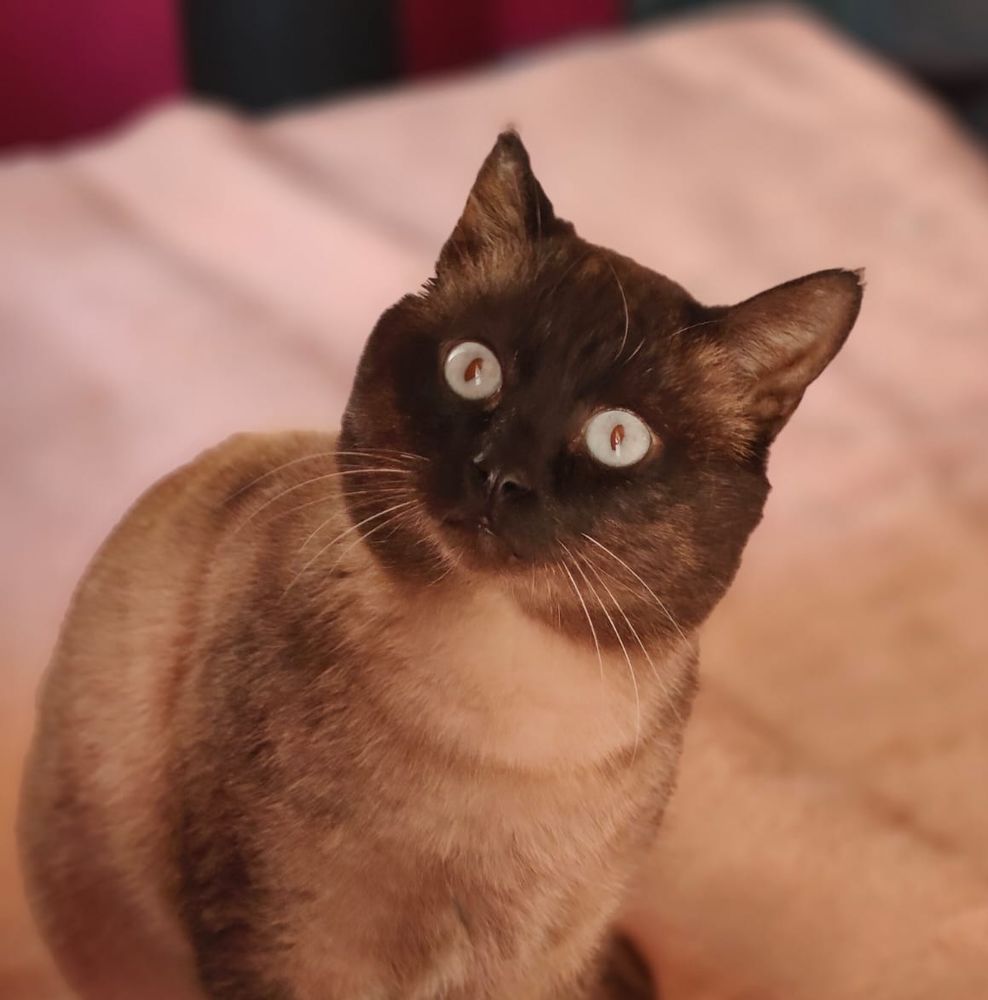 HERCO 230 27620 Gasny